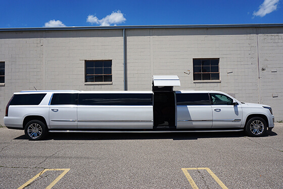 21-passenger party bus